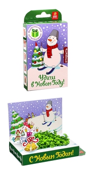 Подарочный набор Живая открытка Удачи в Новом году