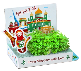 Подарочный набор Живая открытка  Москва №1