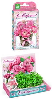 Подарочный набор Живая открытка  8 марта Букет роз