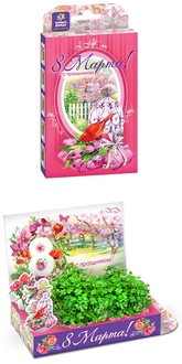 Подарочный набор Живая открытка  8 марта Тюльпаны